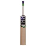 SS Kashmir Willow Cricket Bat - Image 2