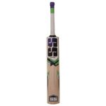 SS Kashmir Willow Cricket Bat - Image 3