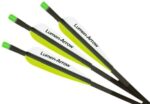 Lumenok Lumen-Arrow Carbon Bolts - Image 5