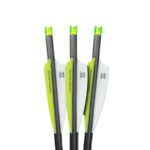 Lumenok Lumen-Arrow Carbon Bolts