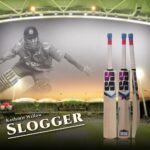 SS Slogger Kashmir Willow Cricket Bat - Image 2