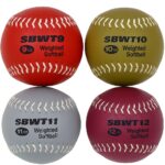 Markwort Weighted Softball Set