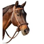 Professional's Choice Loping Hackamore