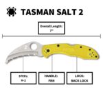 Spyderco Tasman Salt 2 SpyderEdge Knife - Image 5