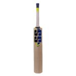 SS Kashmir Willow Cricket Bat Short Handle
