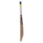 SS Kashmir Willow Cricket Bat Short Handle - Image 3