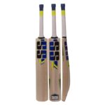 SS Kashmir Willow Cricket Bat Short Handle - Image 4