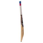 SS Slogger Kashmir Willow Cricket Bat - Image 6