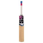 SS Slogger Kashmir Willow Cricket Bat - Image 7