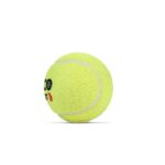 Cosco Cricket Normal Force Ball - Image 2