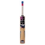 SS Slogger Kashmir Willow Cricket Bat - Image 5